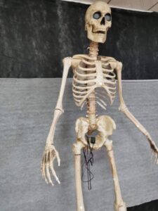 2.4m skeleton