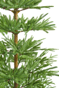 7.5ft alpine balsam fir® christmas tree